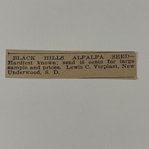 Black Hills Alfalfa Seed Lewis C. Verplast New Underwood SD 1911 Ad SAG9-S10 - Picture 1 of 2